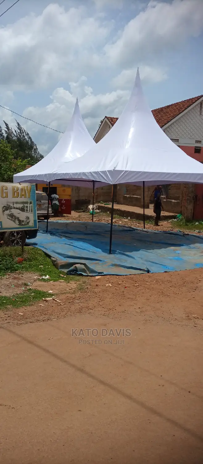 2 Peak Canopy Tent