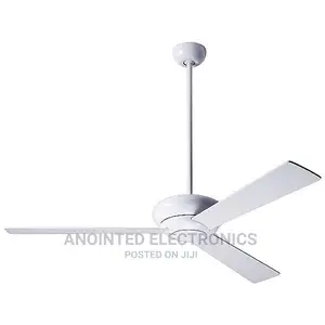 Ceiling Fan Vettle