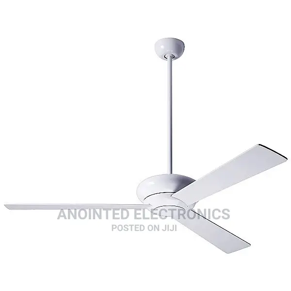 Ceiling Fan Vettle