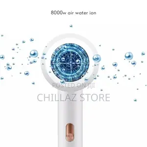 Max Gold Professional Hair Dryer