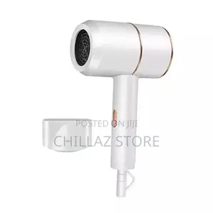 Max Gold Professional Hair Dryer