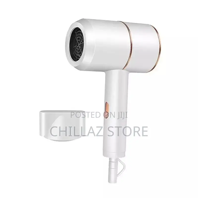 Max Gold Professional Hair Dryer