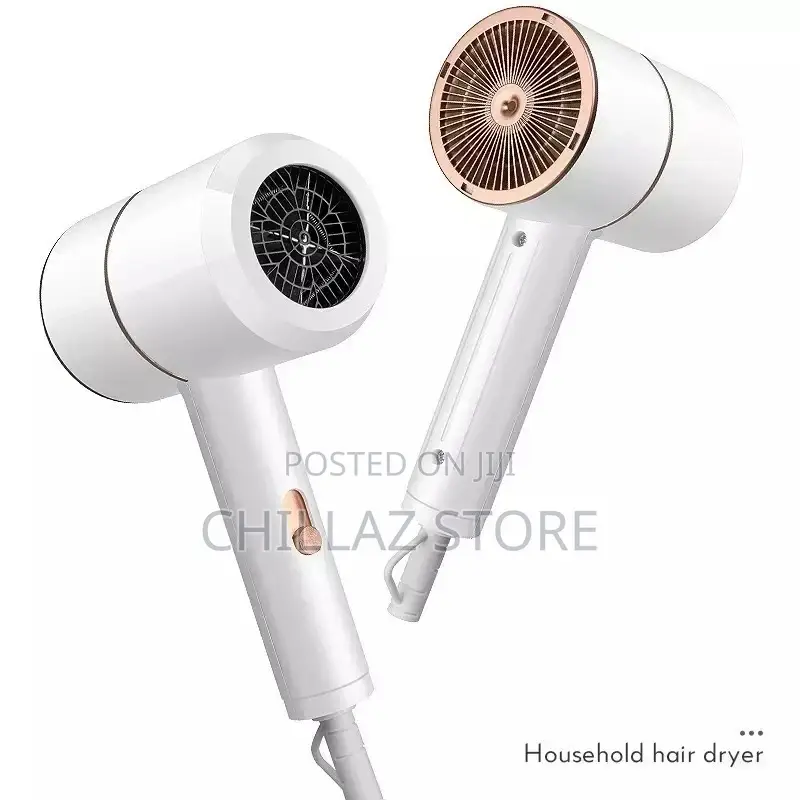 Max Gold Professional Hair Dryer