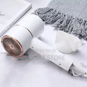 Max Gold Professional Hair Dryer