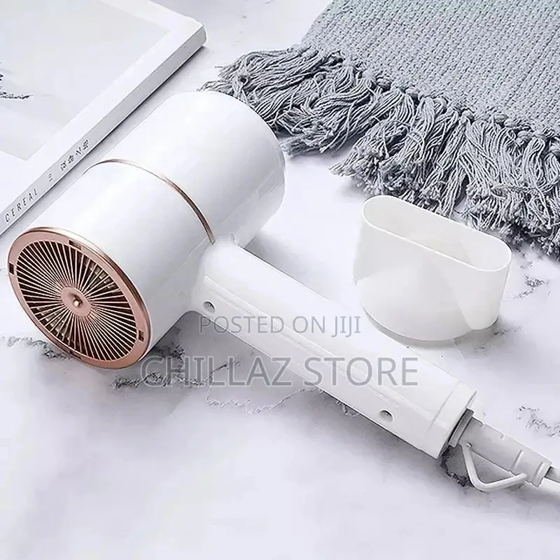 Max Gold Professional Hair Dryer