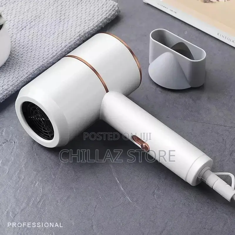 Max Gold Professional Hair Dryer