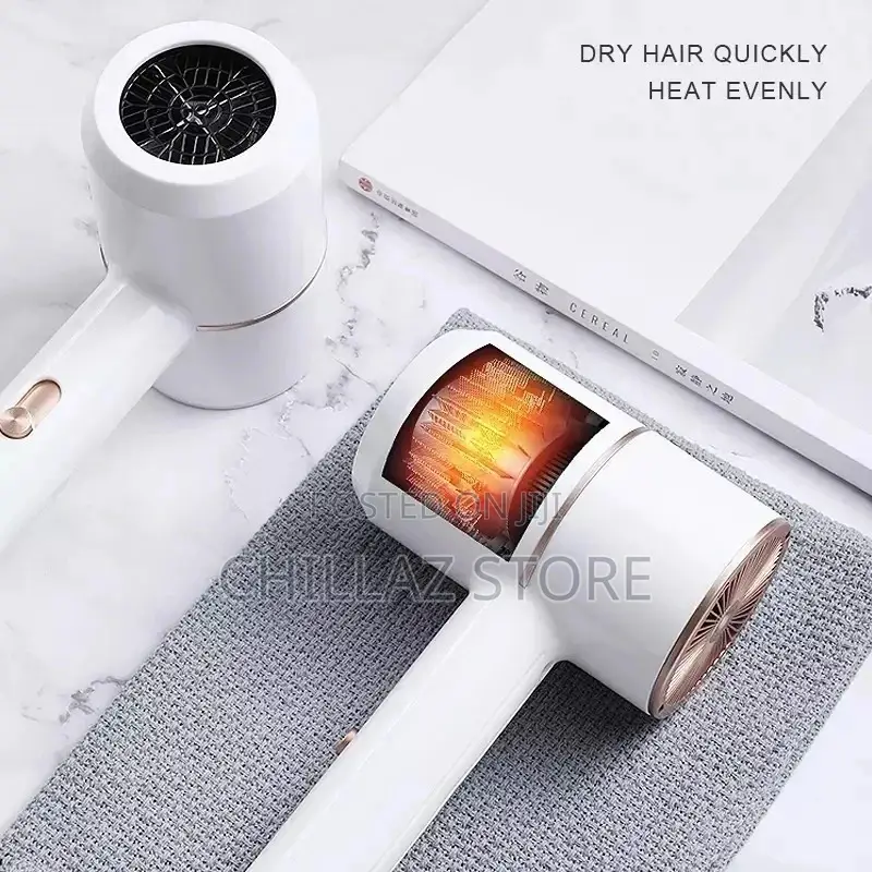 Max Gold Professional Hair Dryer
