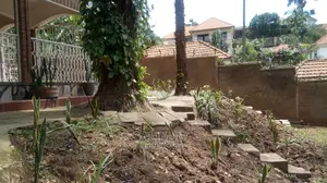 4bdrm Bungalow in Kololo Property, Central Division for Rent