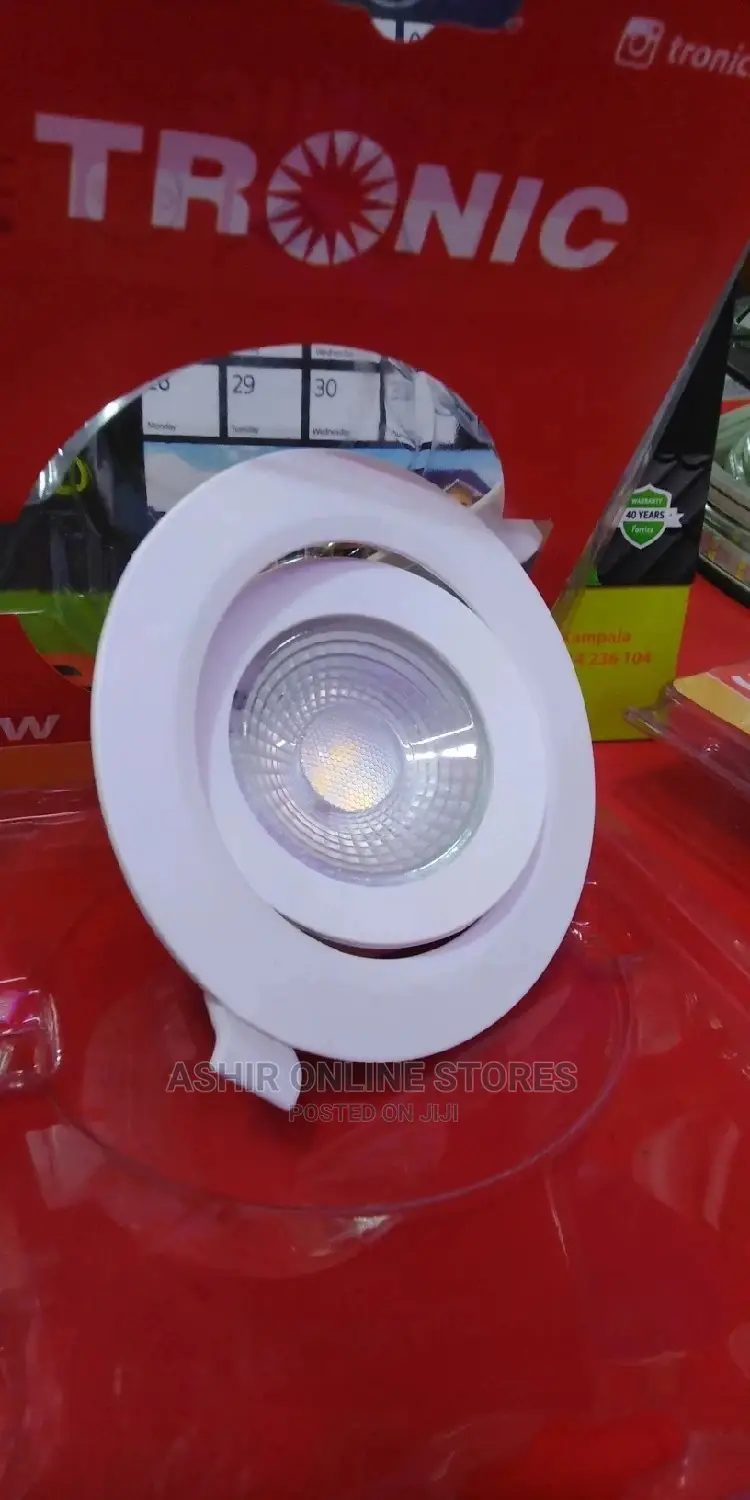 Ww Spot Light /Down Lighter