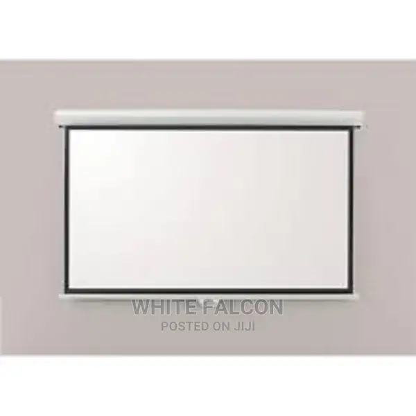 Manual Pull Down Screen Projector