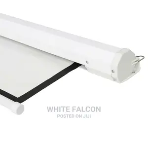 Manual Pull Down Screen Projector