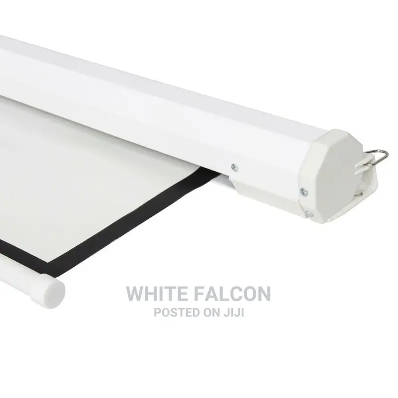 Manual Pull Down Screen Projector