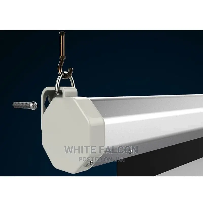 Manual Pull Down Screen Projector