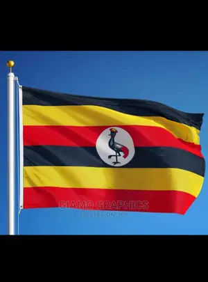 Flags Customized and Non Customized