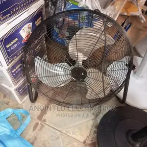 Floor Black Fans
