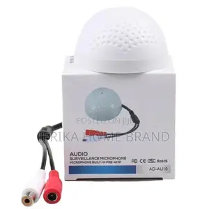 Mini CCTV Security Audio Microphone Pick Up Camera RCA Audio