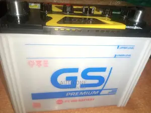 GS Batteries Japan Standard Based.