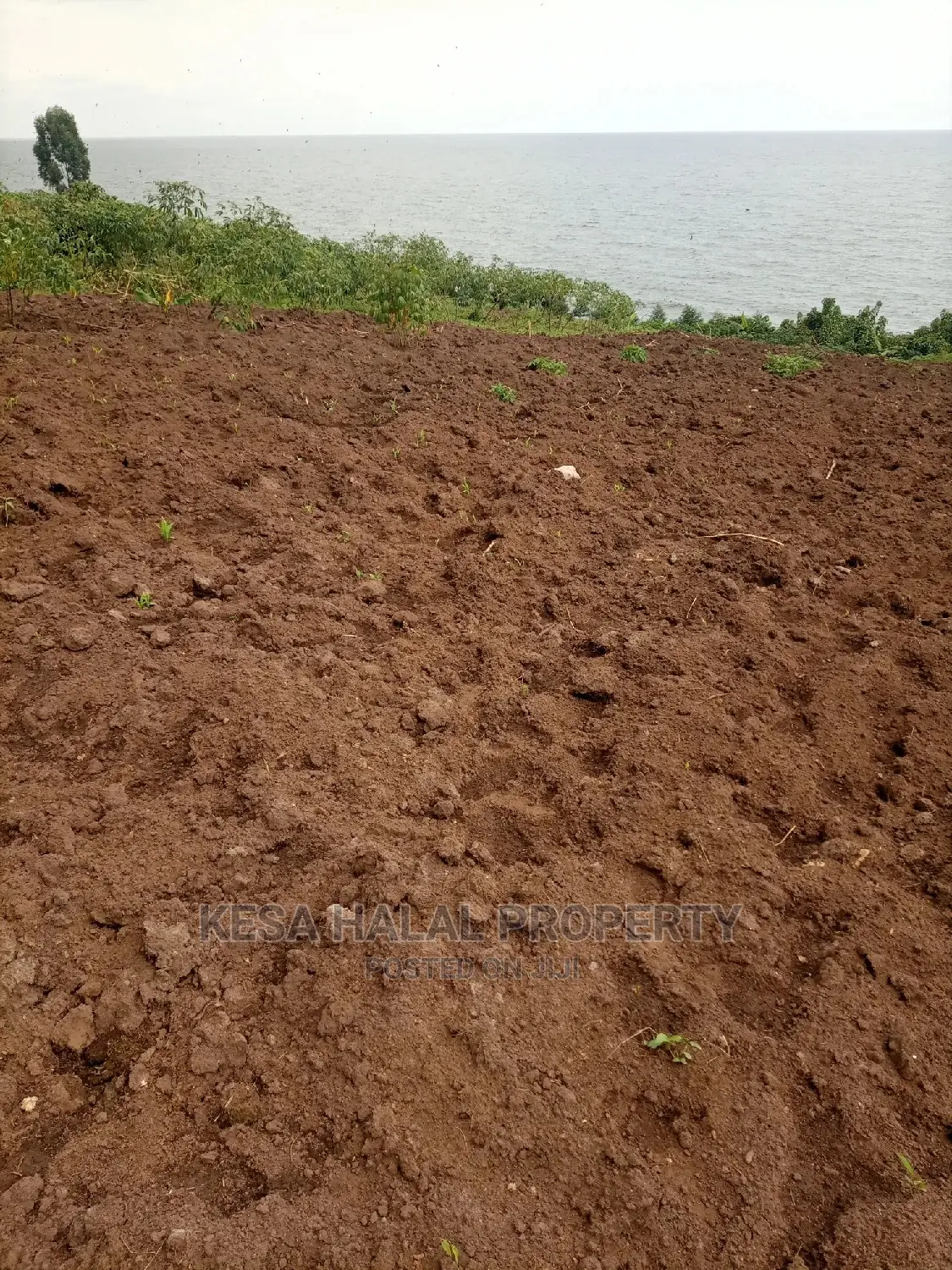 350 Acres for Sale at Koome Touching Lake