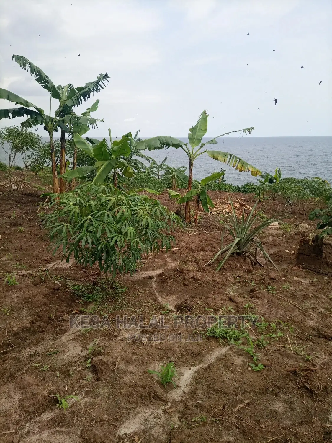 350 Acres for Sale at Koome Touching Lake