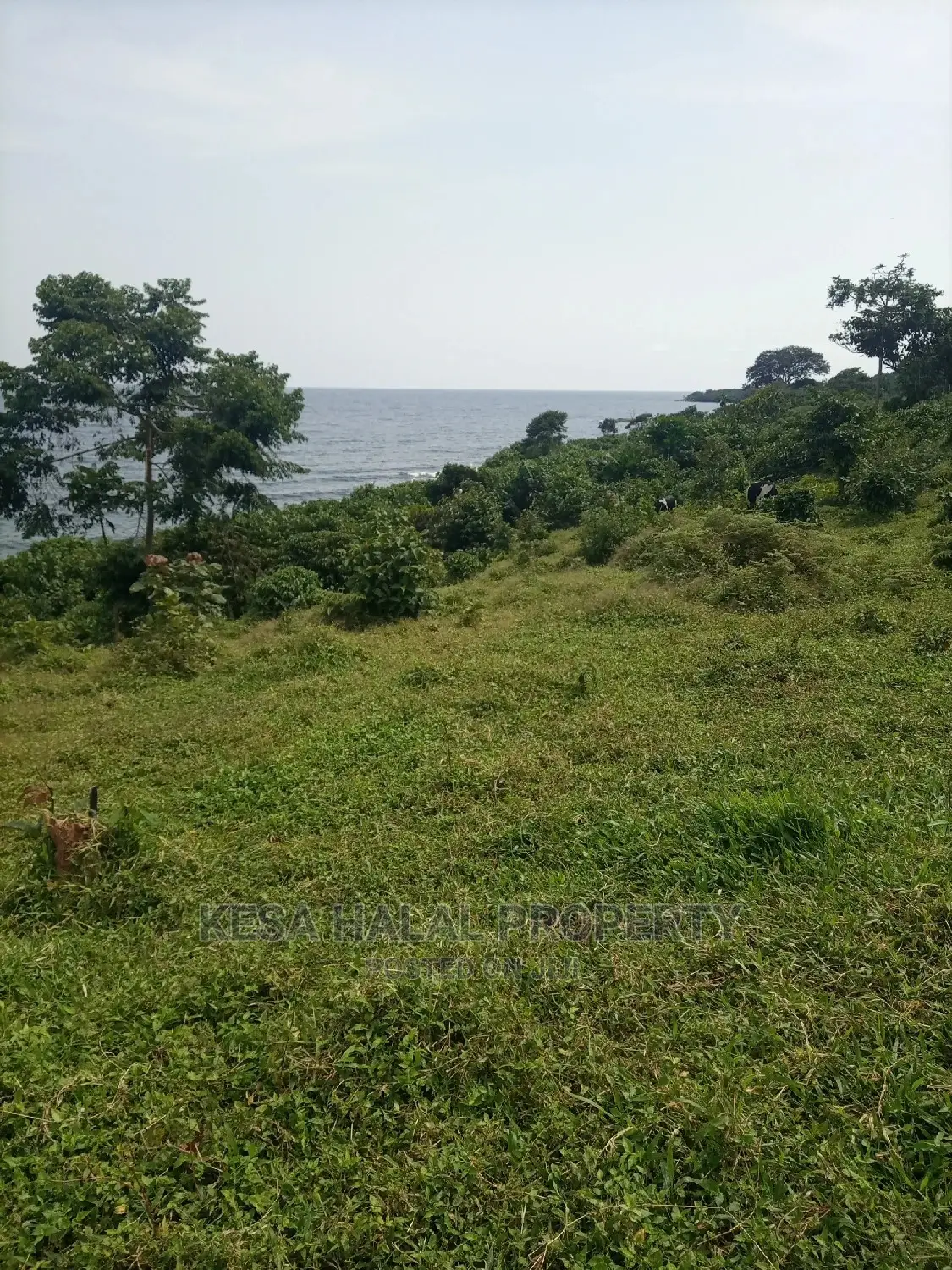 350 Acres for Sale at Koome Touching Lake