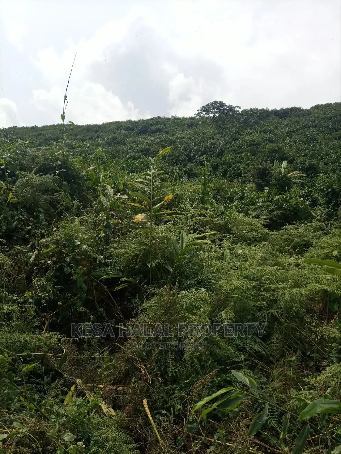 350 Acres for Sale at Koome Touching Lake
