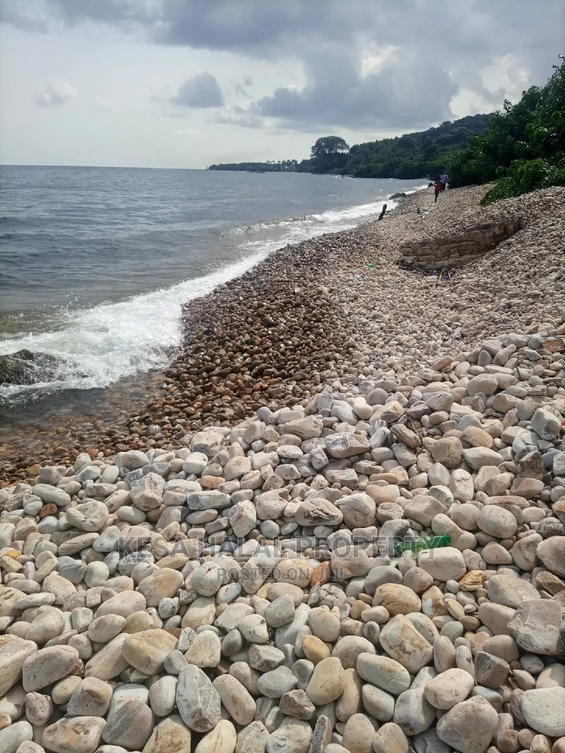 350 Acres for Sale at Koome Touching Lake