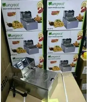 Owngreat 6.0litres Electric Deep Fryers ( OG-DF10 )