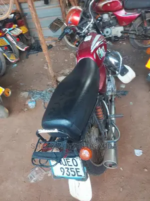 Bajaj Pulsar NS 160 2020 Brown