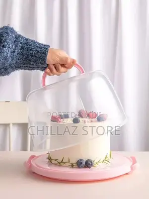 Portable Cake Box
