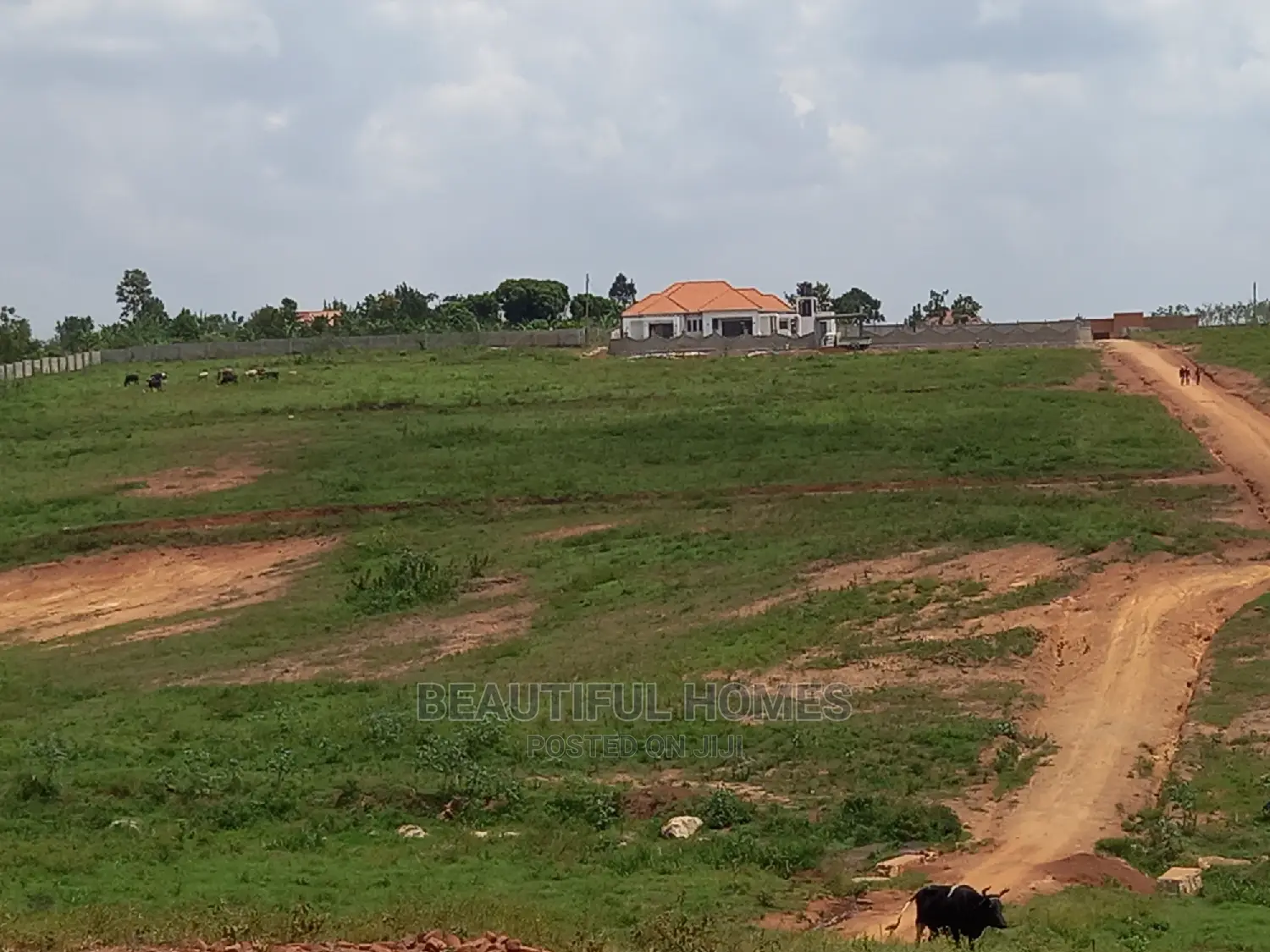 Two Plots in Kasangati Gated Neighborhood