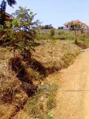 100/50 Plot for Sale in Buto Beeyogerere