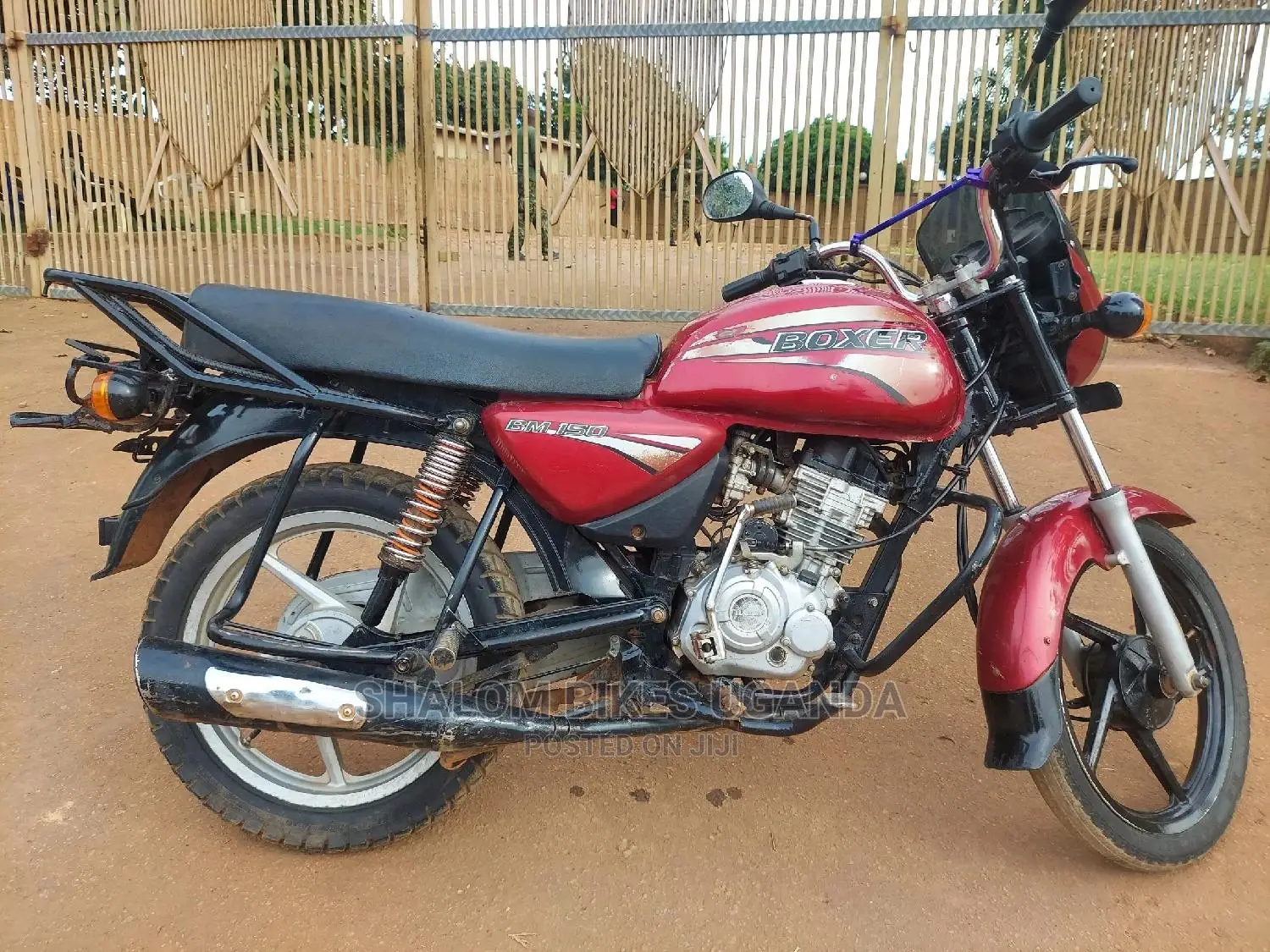 Bajaj 2020 Pink