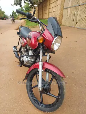 Bajaj 2020 Pink