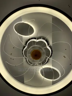 Designed Fan Lights