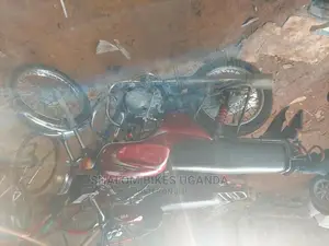 Bajaj Pulsar 135 LS 2019 Silver
