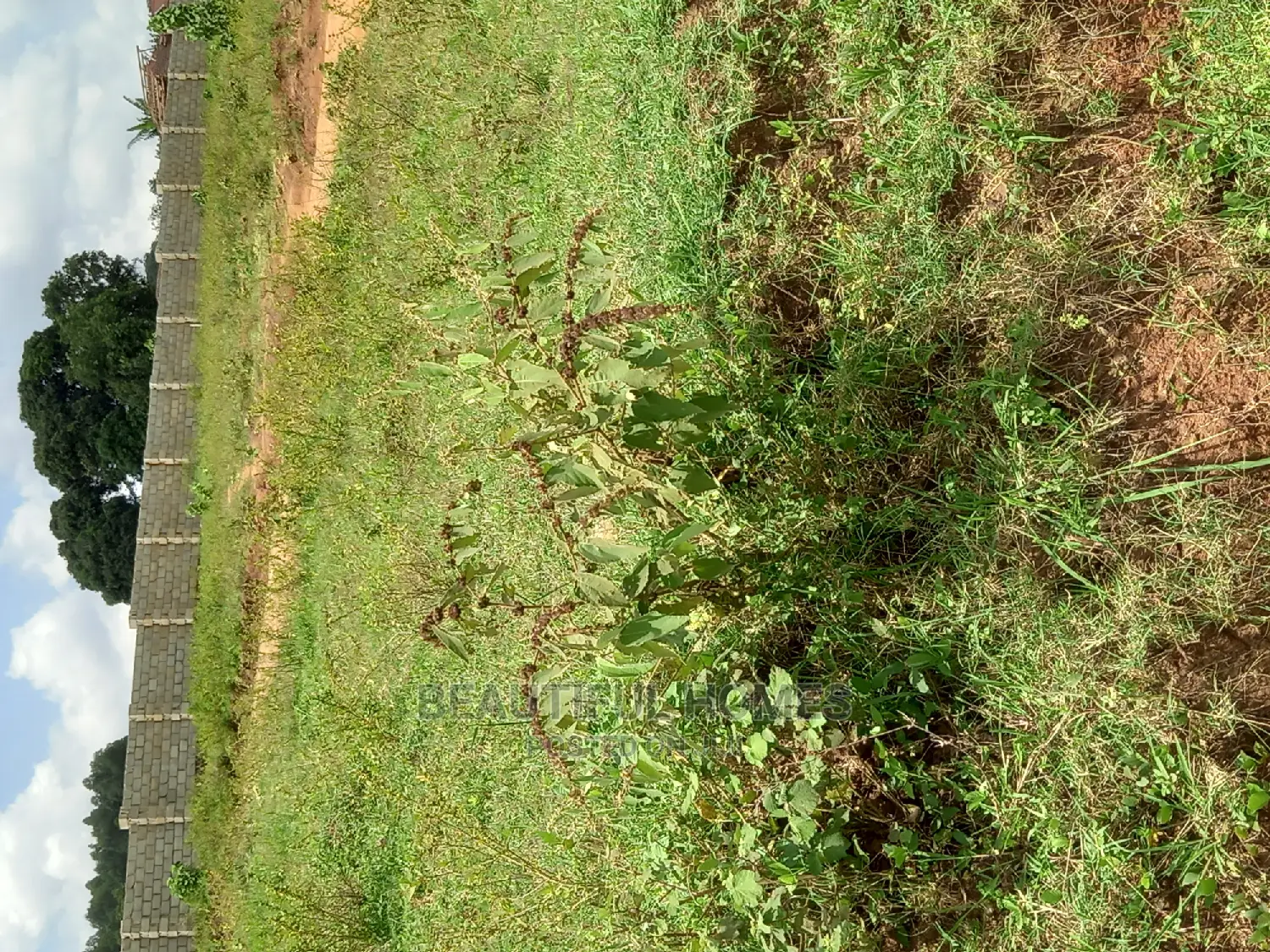 Kasangati 100×100 at Gated Half London Estate on Sell