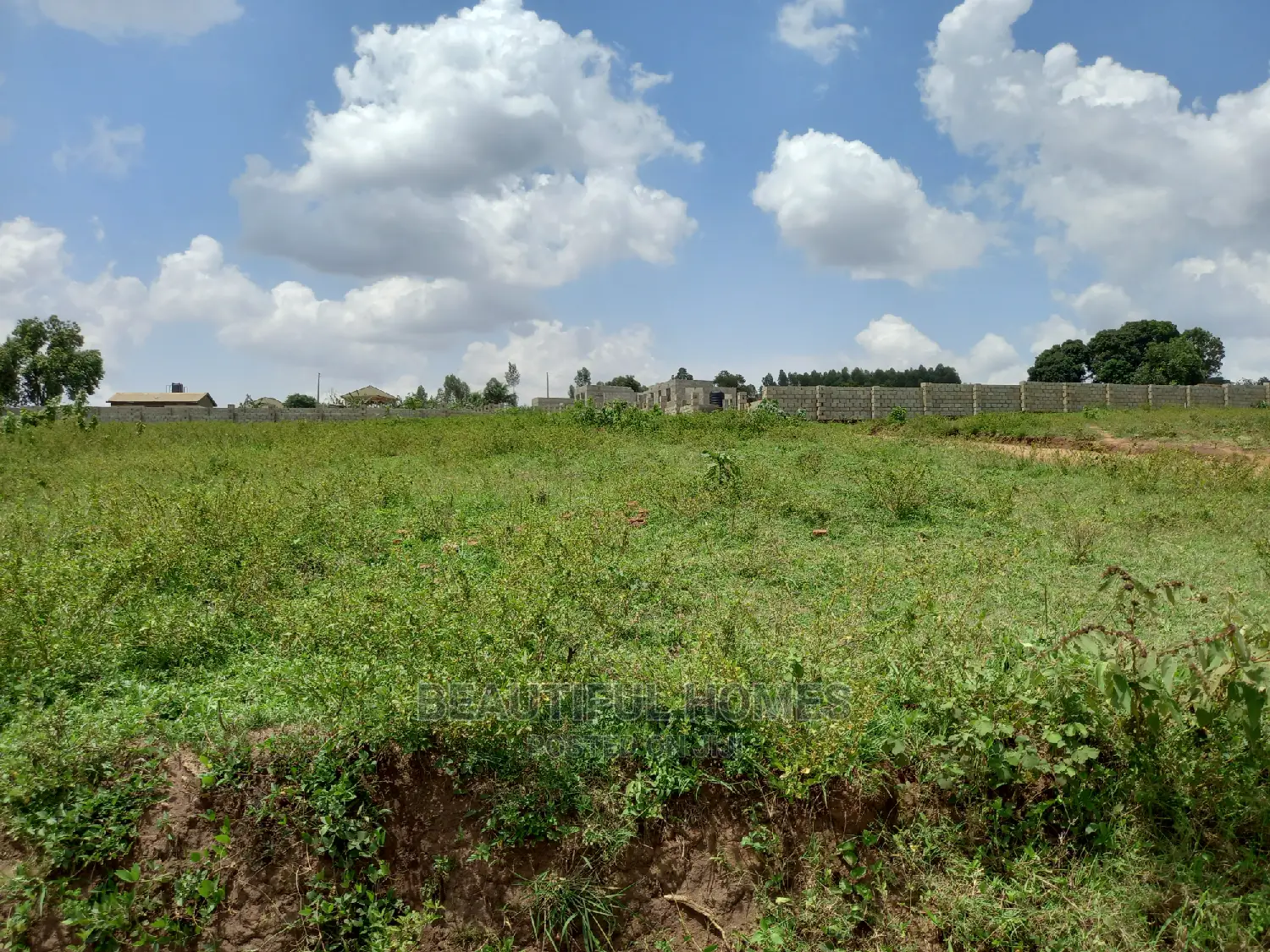 Kasangati Fancy 100×100 on Quickest Sale