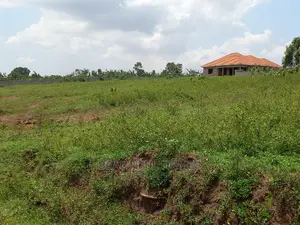 Kasangati 100*100 in Gated First Class Neighborhood