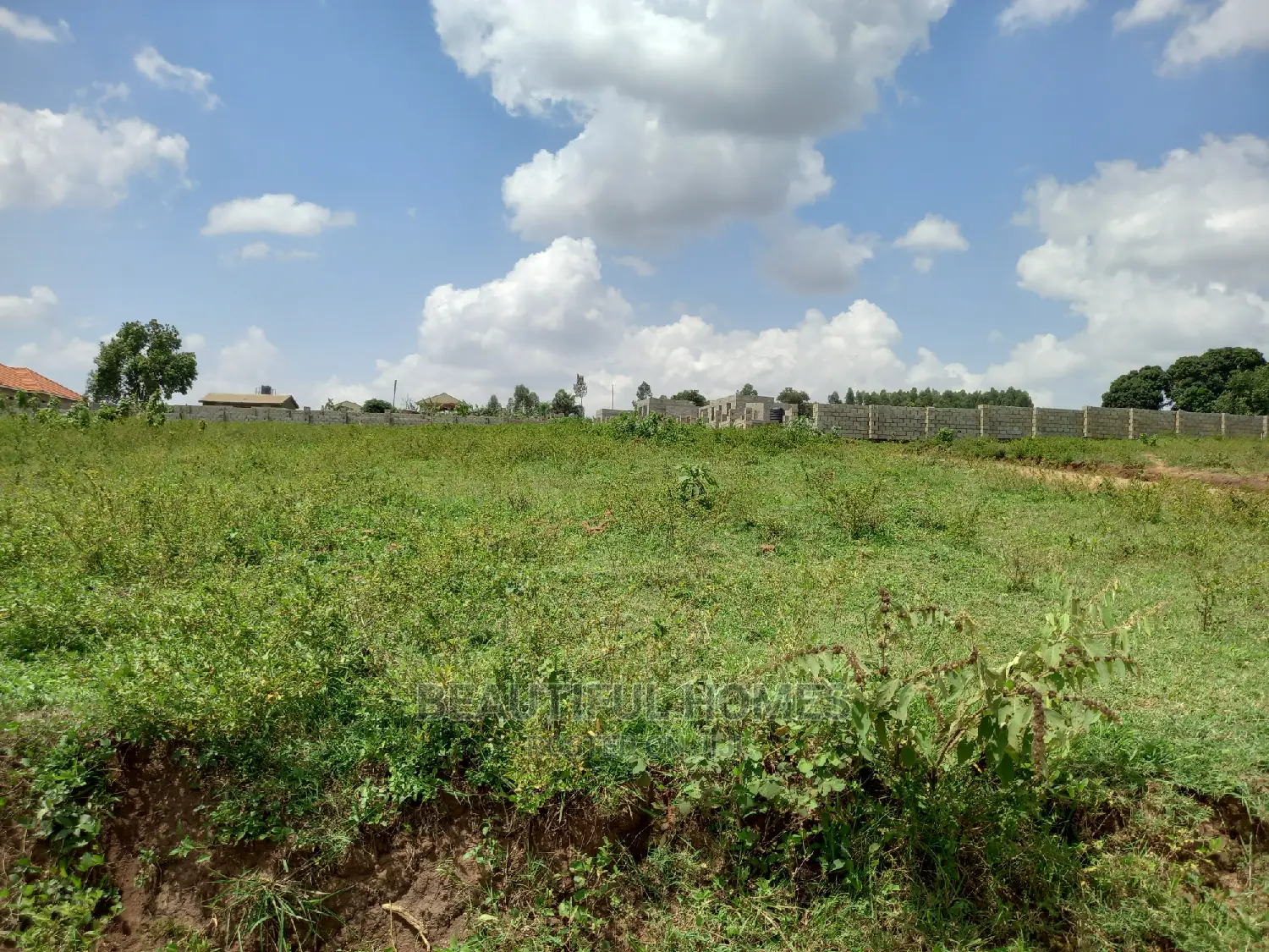 Kasangati Stylish 100*100 Gated Estate