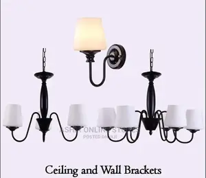 Perfect Home Ceiling Light