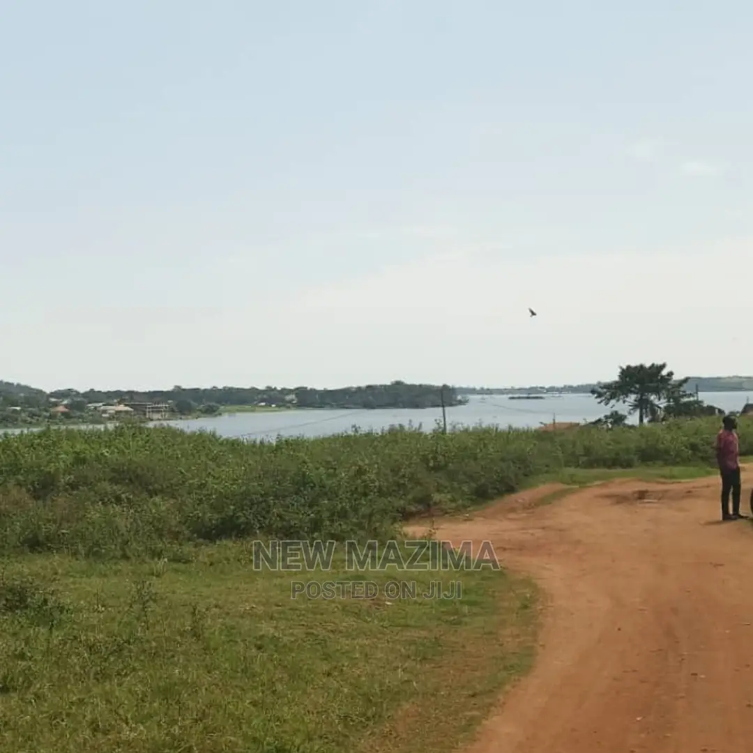 Nkumba Lake Viewing Hot Plots on Quicksale With Ready Title