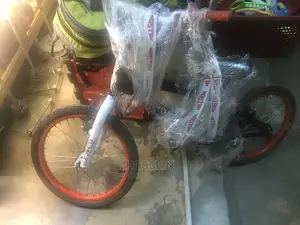 Junior Bicycles