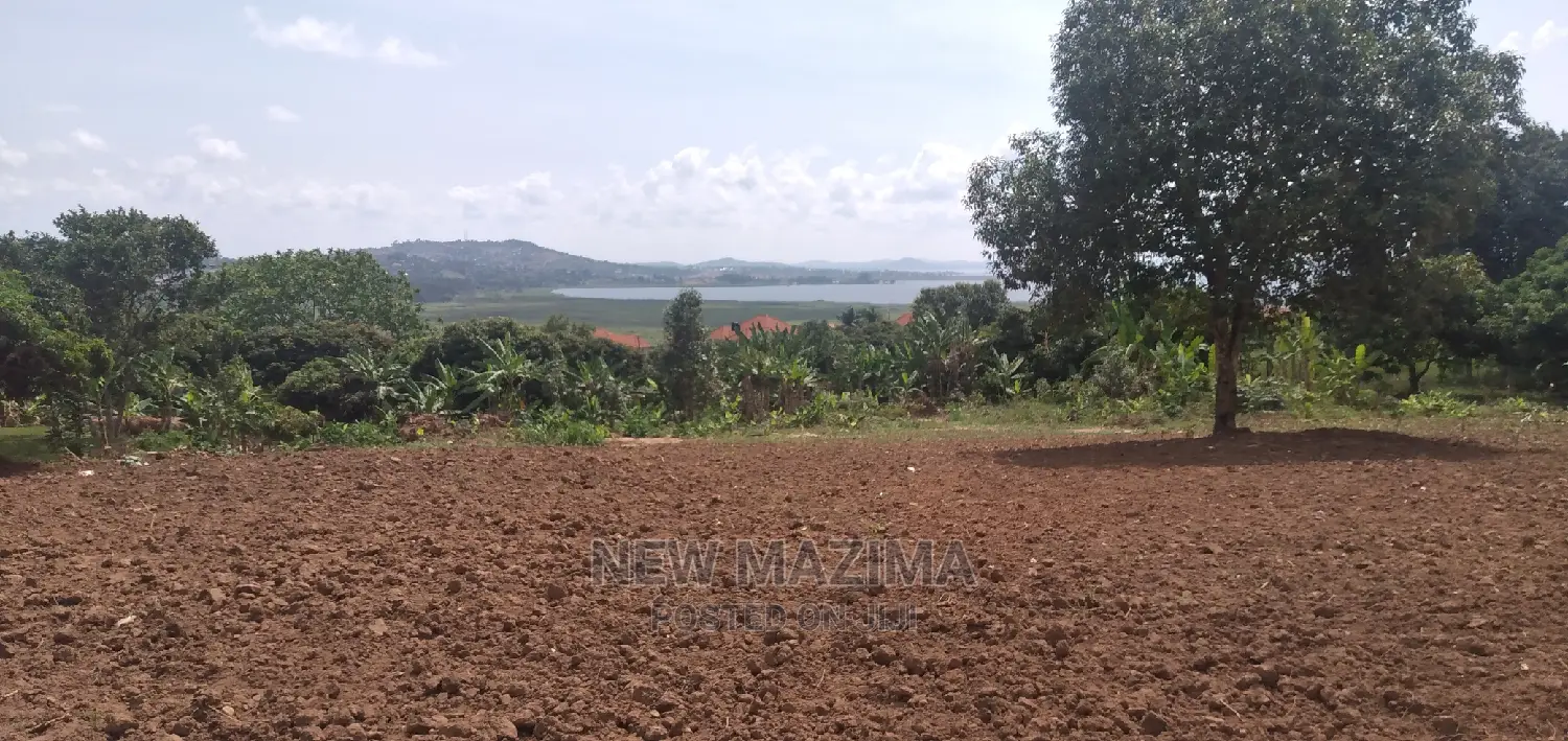 Half Acre With Clear Lakeview Is Quicksale in Bweya Kajjansi
