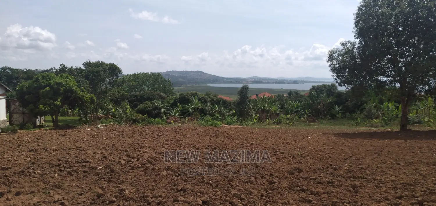 Half Acre With Clear Lakeview Is Quicksale in Bweya Kajjansi