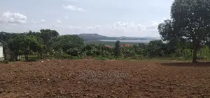 Half Acre With Clear Lakeview Is Quicksale in Bweya Kajjansi