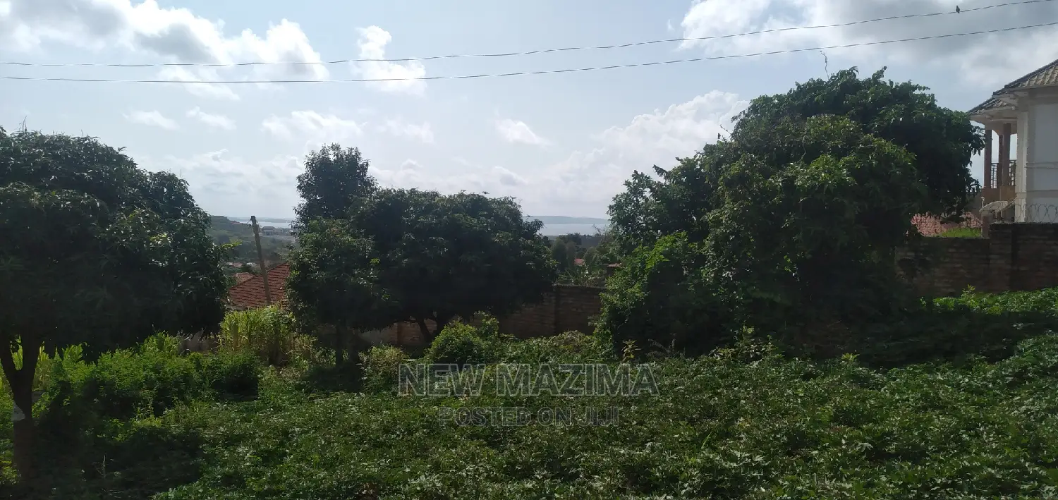 Ntebe Rd Janyi Lake Viewig Plot Quicksale With Private Title