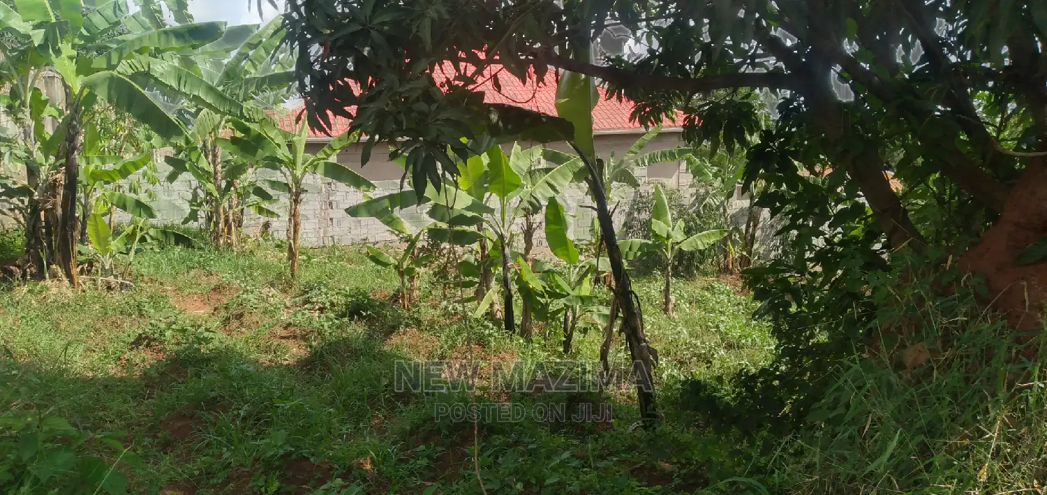 Ntebe Rd Janyi Lake Viewig Plot Quicksale With Private Title
