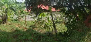 Ntebe Rd Janyi Lake Viewig Plot Quicksale With Private Title