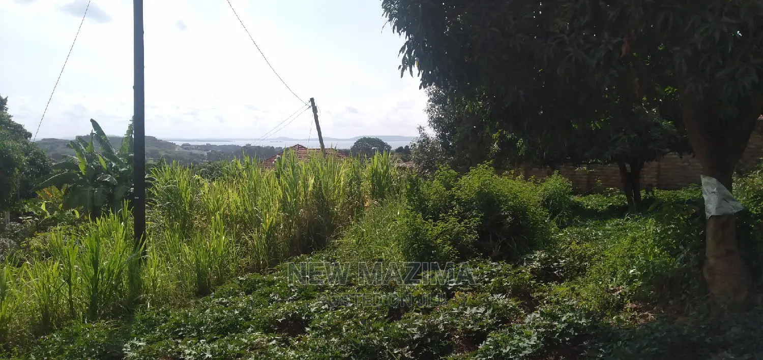Ntebe Rd Janyi Lake Viewig Plot Quicksale With Private Title