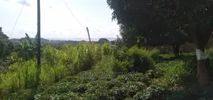 Ntebe Rd Janyi Lake Viewig Plot Quicksale With Private Title